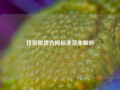 住房租赁合同标准范本解析