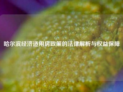 哈尔滨经济适用房政策的法律解析与权益保障