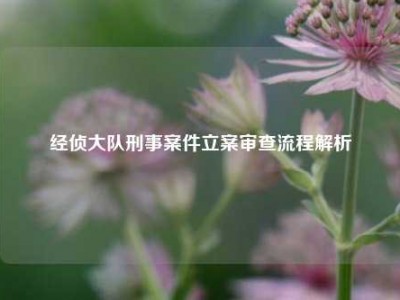 经侦大队刑事案件立案审查流程解析