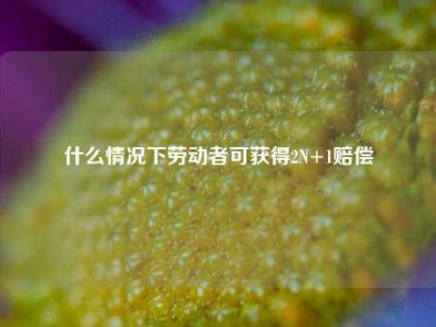 什么情况下劳动者可获得2N+1赔偿