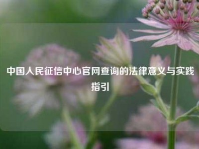 中国人民征信中心官网查询的法律意义与实践指引