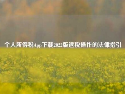 个人所得税App下载2022版退税操作的法律指引