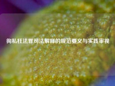 徇私枉法罪司法解释的规范要义与实践审视