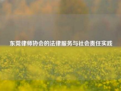 东莞律师协会的法律服务与社会责任实践