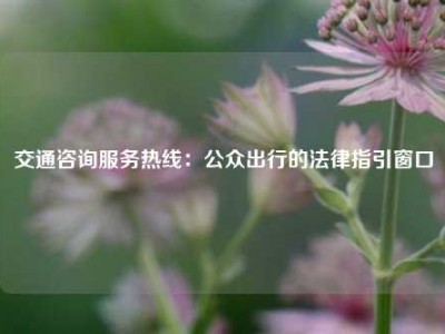 交通咨询服务热线：公众出行的法律指引窗口