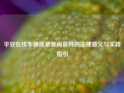 平安在线车辆违章查询官网的法律意义与实践指引