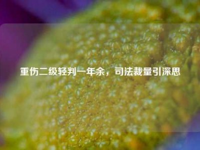 重伤二级轻判一年余，司法裁量引深思