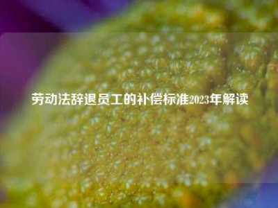 劳动法辞退员工的补偿标准2023年解读