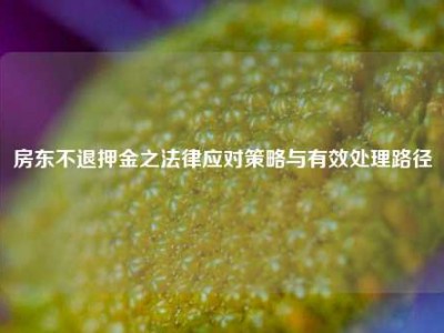 房东不退押金之法律应对策略与有效处理路径