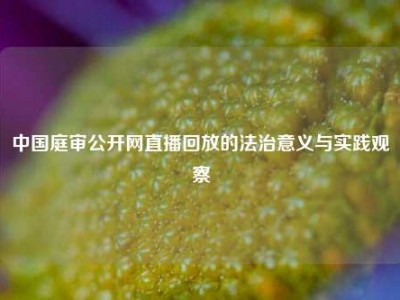 中国庭审公开网直播回放的法治意义与实践观察