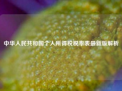 中华人民共和国个人所得税税率表最新版解析