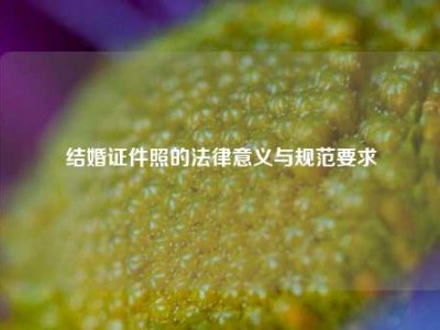 结婚证件照的法律意义与规范要求