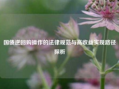 国债逆回购操作的法律规范与高收益实现路径探析