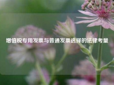 增值税专用发票与普通发票选择的法律考量