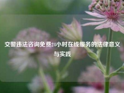 交警违法咨询免费24小时在线服务的法律意义与实践