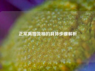正常离婚流程的具体步骤解析