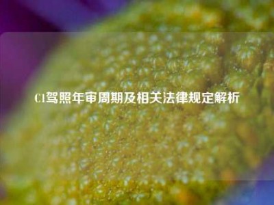 C1驾照年审周期及相关法律规定解析