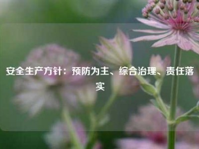 安全生产方针：预防为主、综合治理、责任落实