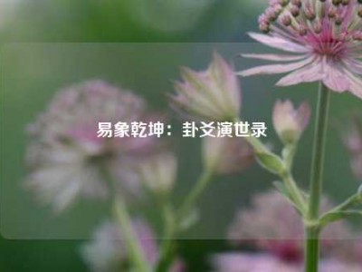 易象乾坤：卦爻演世录