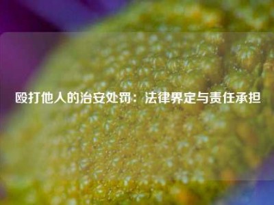 殴打他人的治安处罚：法律界定与责任承担