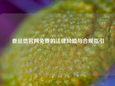 查征信官网免费的法律风险与合规指引