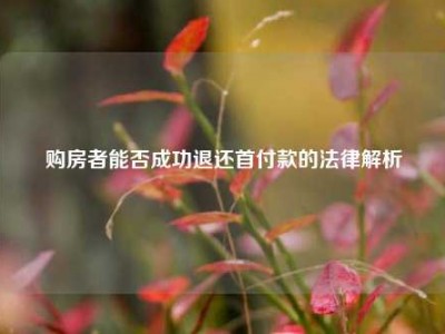 购房者能否成功退还首付款的法律解析