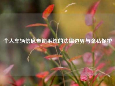 个人车辆信息查询系统的法律边界与隐私保护