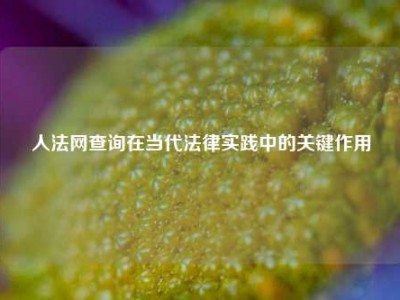 人法网查询在当代法律实践中的关键作用
