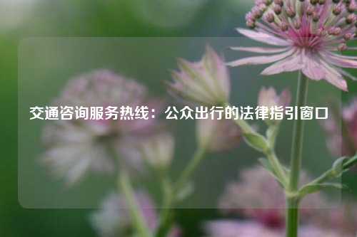 交通咨询服务热线:公众出行的法律指引窗口