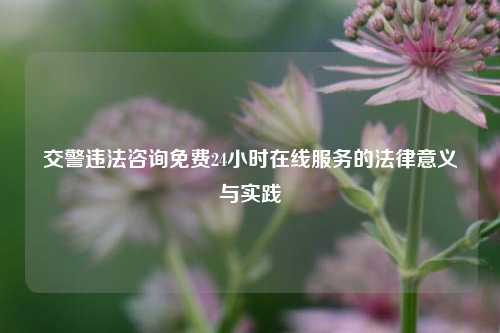 交警违法咨询免费24小时在线服务的法律意义与实践