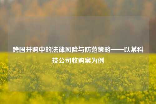 跨国并购中的法律风险与防范策略——以某科技公司收购案为例