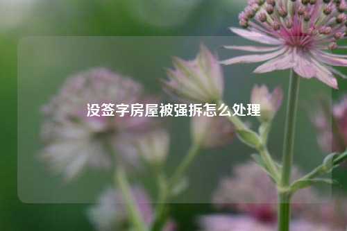 没签字房屋被强拆怎么处理