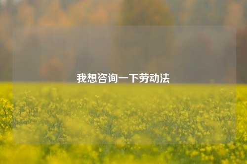 我想咨询一下劳动法