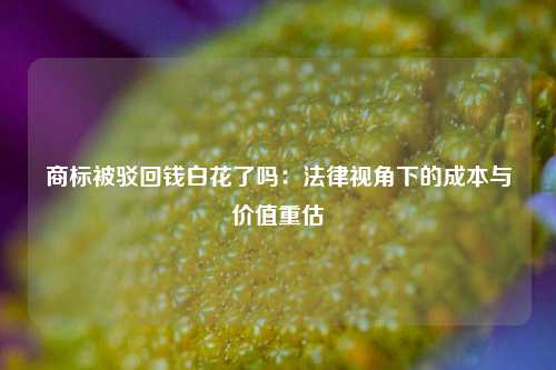 商标被驳回钱白花了吗：法律视角下的成本与价值重估