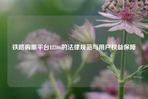铁路购票平台12306的法律规范与用户权益保障