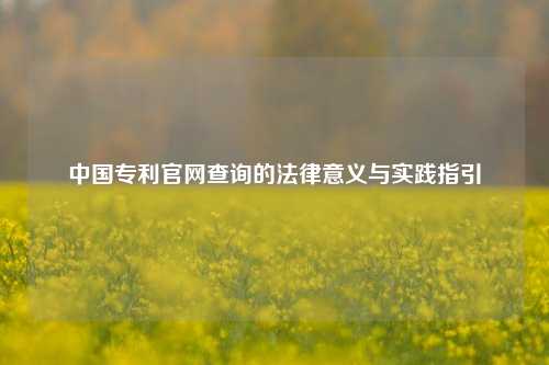 中国专利官网查询的法律意义与实践指引