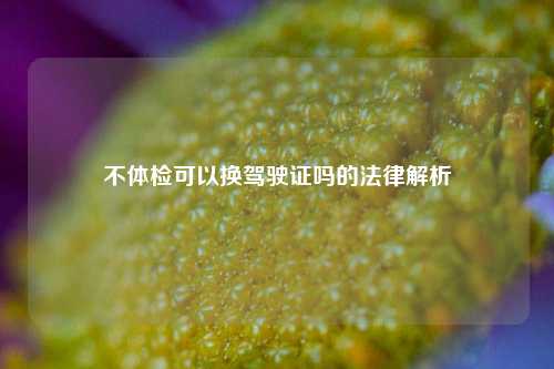 不体检可以换驾驶证吗的法律解析