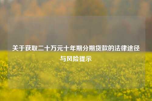 关于获取二十万元十年期分期贷款的法律途径与风险提示