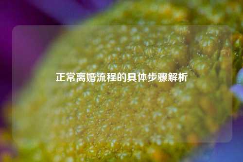 正常离婚流程的具体步骤解析